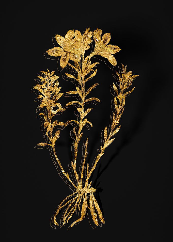Gold Flora on Black