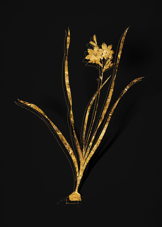 Gold Floral on Black