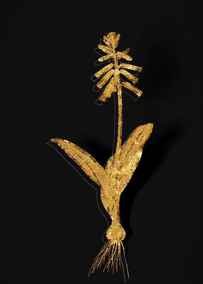 Gold Flora on Black