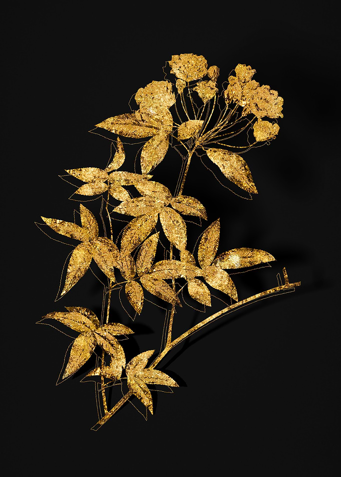 Gold Flora on Black