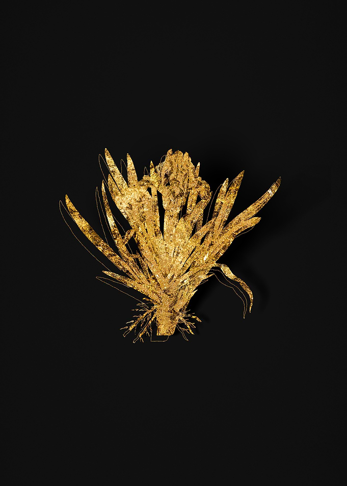 Gold Flora on Black