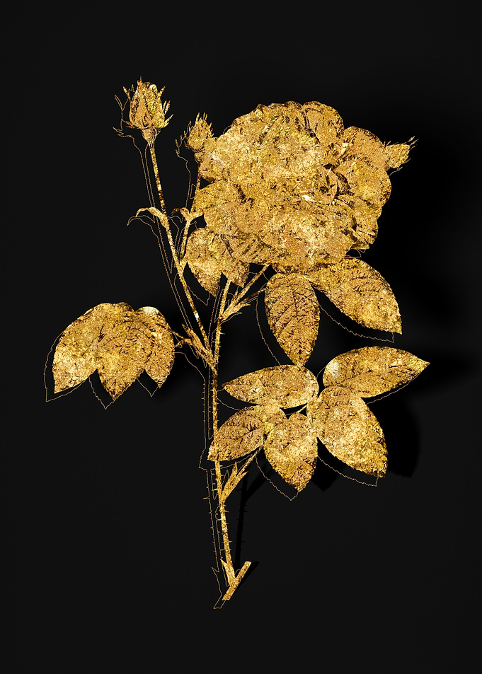 Gold Flora on Black