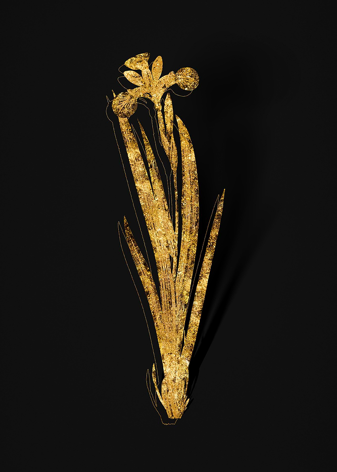 Gold Flower on Black