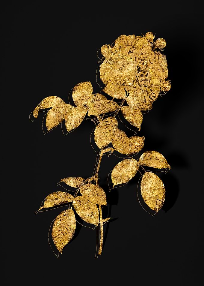 Gold Flower on Black