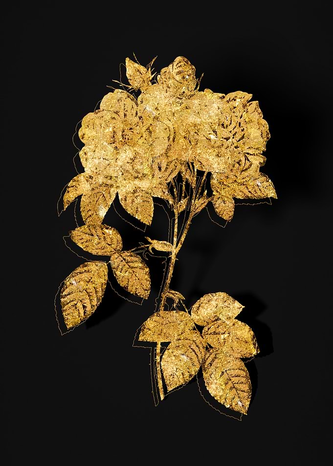 Gold Flower on Black