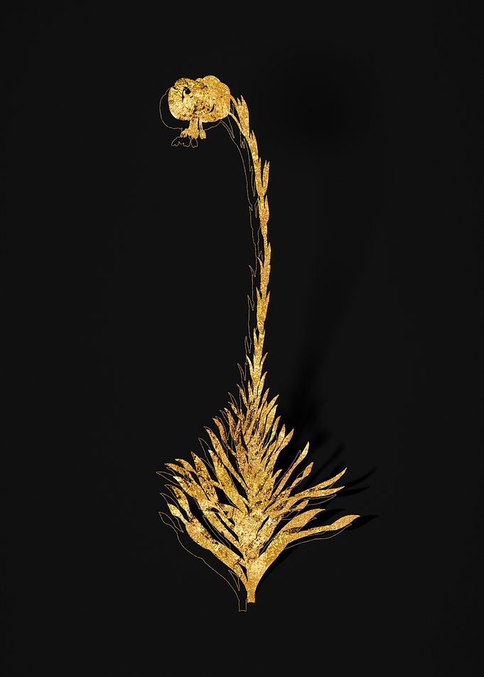 Gold Flower on Black