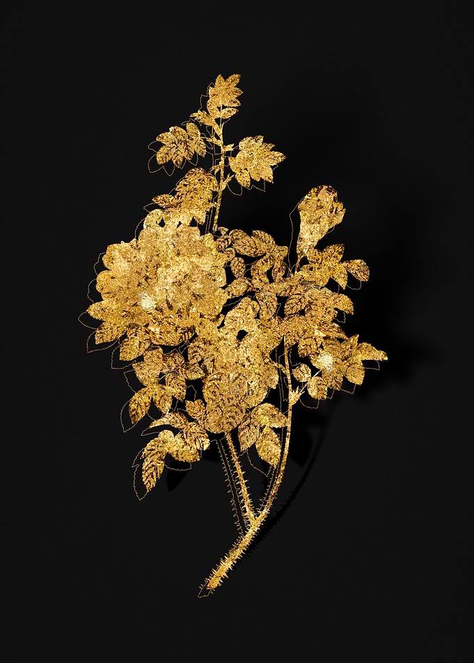 Gold Flower on Black