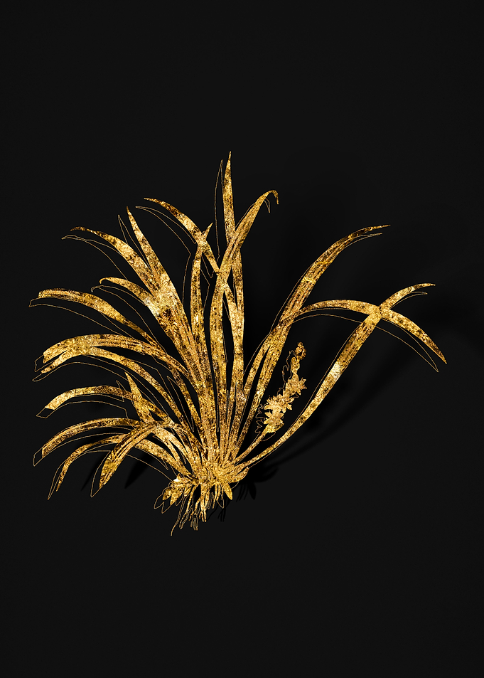 Gold Flower on Black