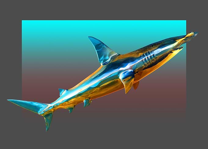 HAMMERHEAD SHARK