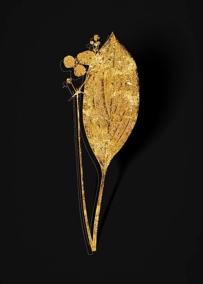 Gold Flower on Black