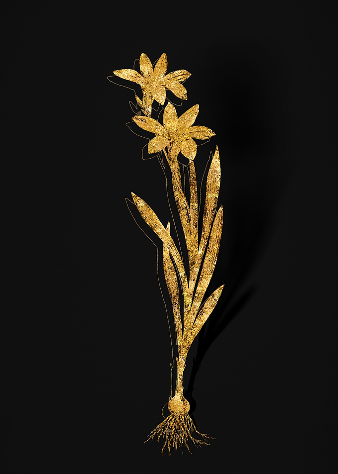Gold Flower on Black