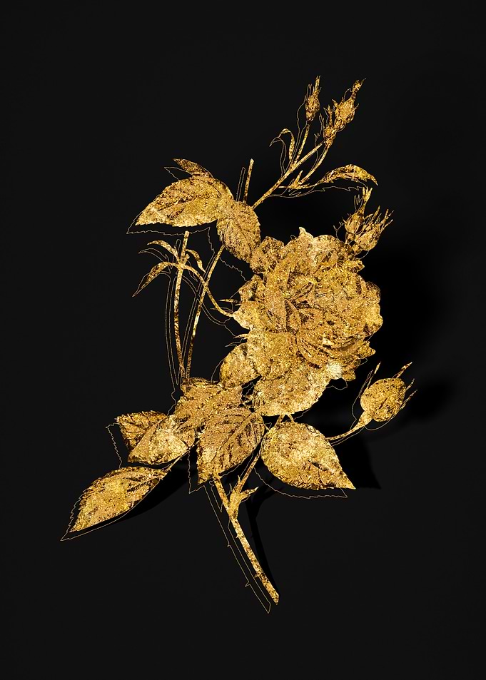Gold Flora on Black