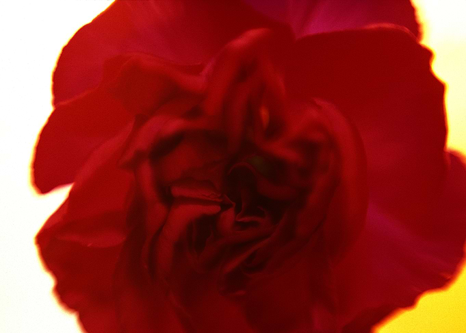 Untitled 996