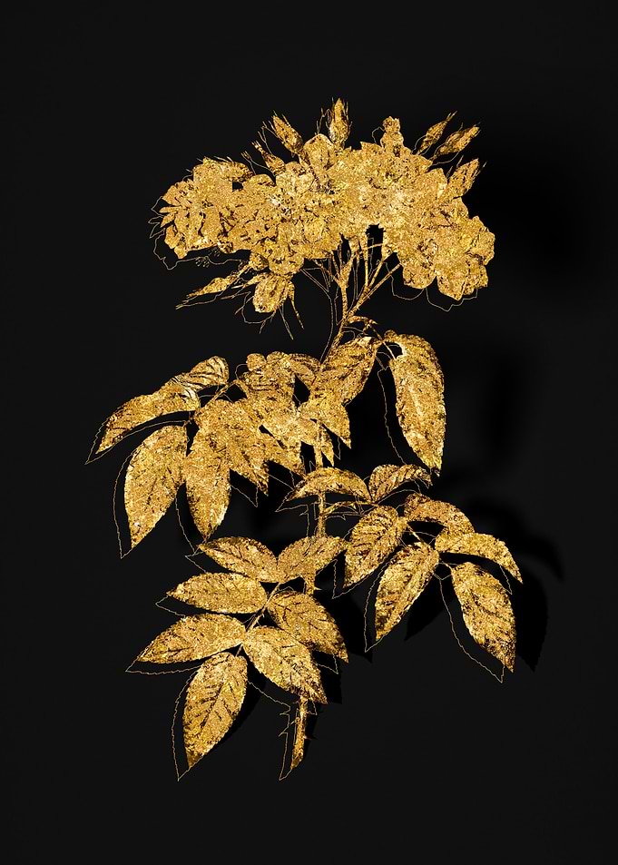 Gold Flora on Black