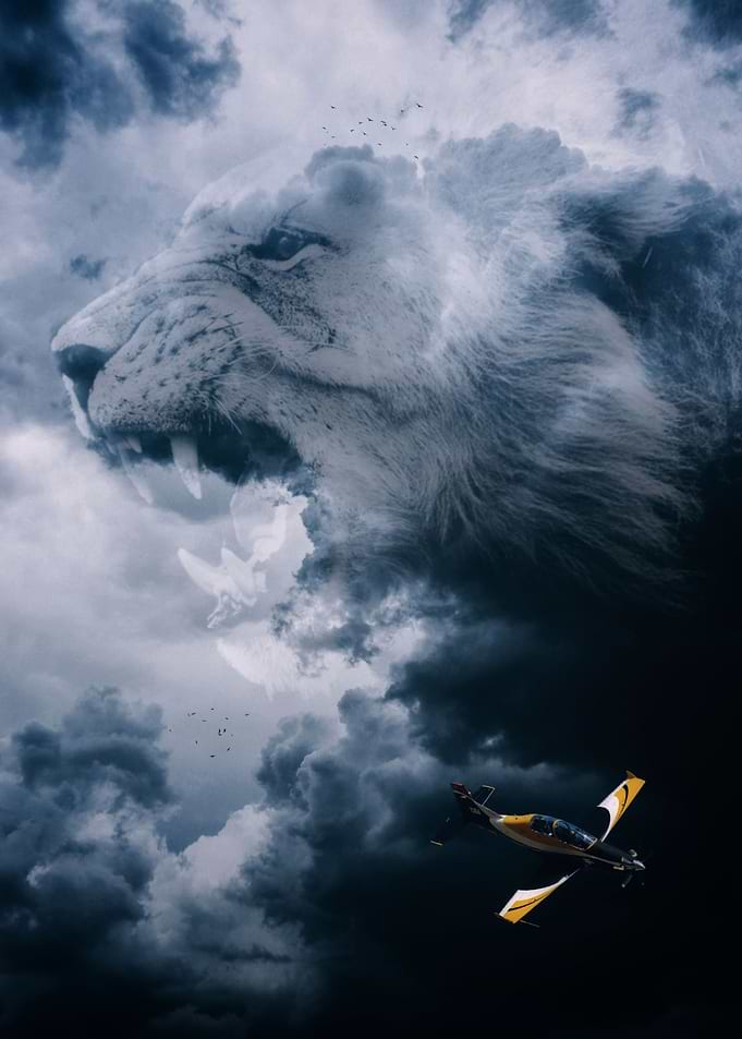 Surreal Cloud Lion in Sky