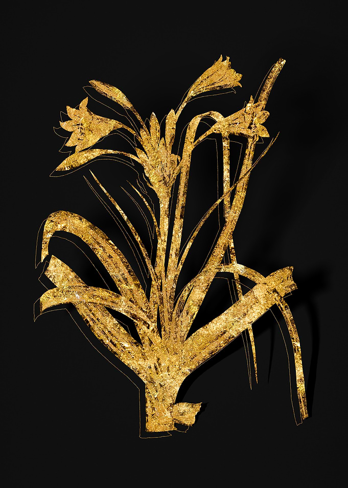 Gold Flora on Black
