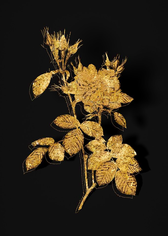 Gold Flora on Black