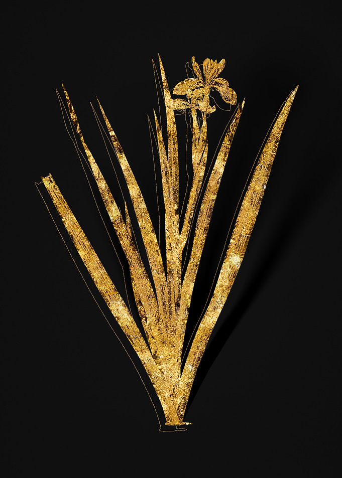 Gold Botanical on Black