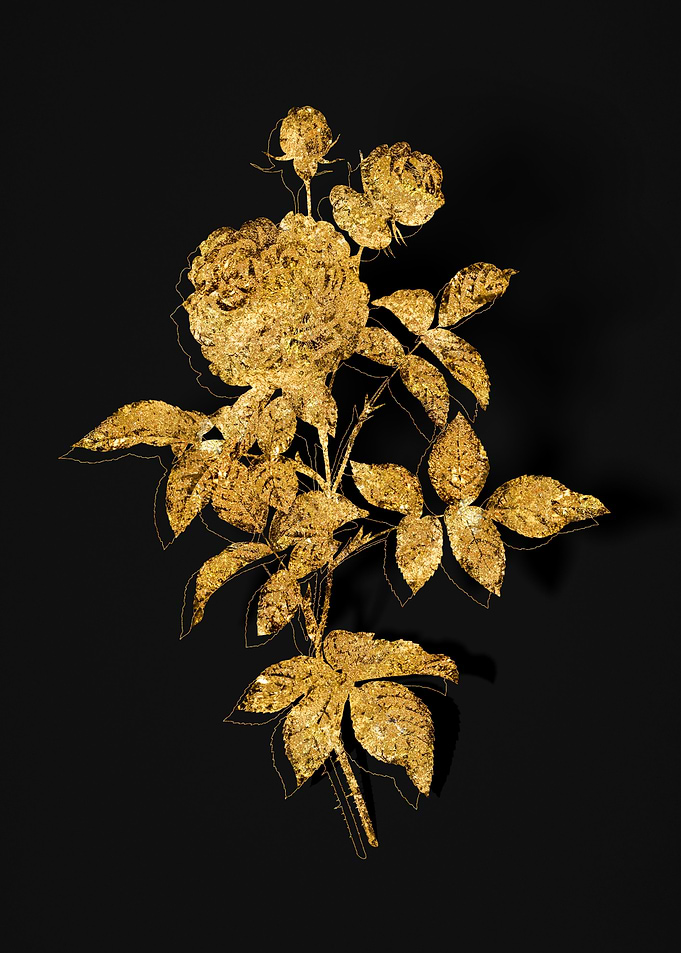 Gold Botanical on Black