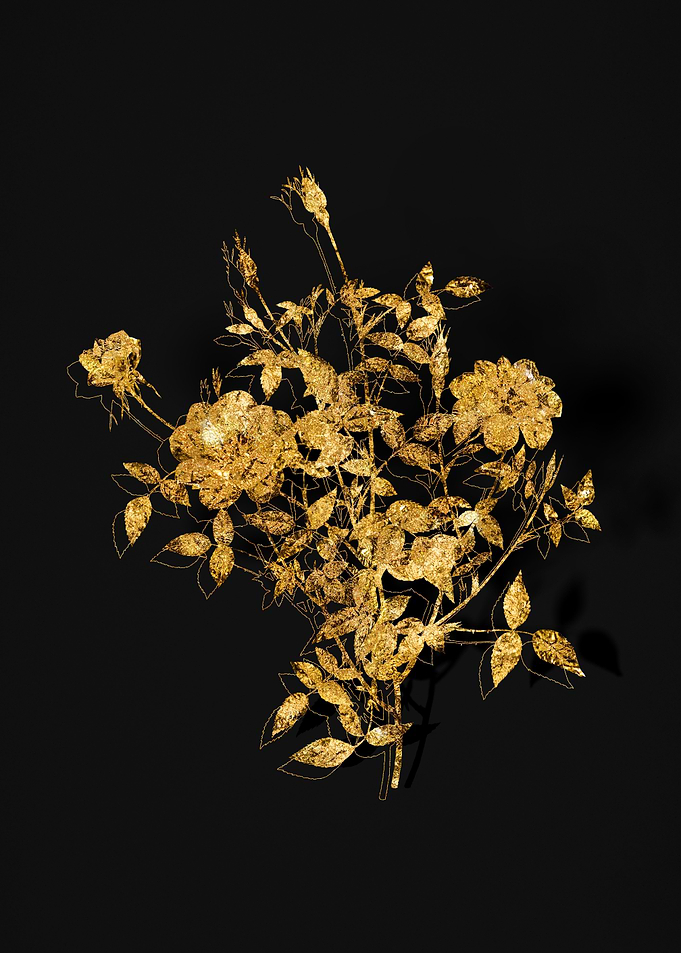 Gold Flora on Black