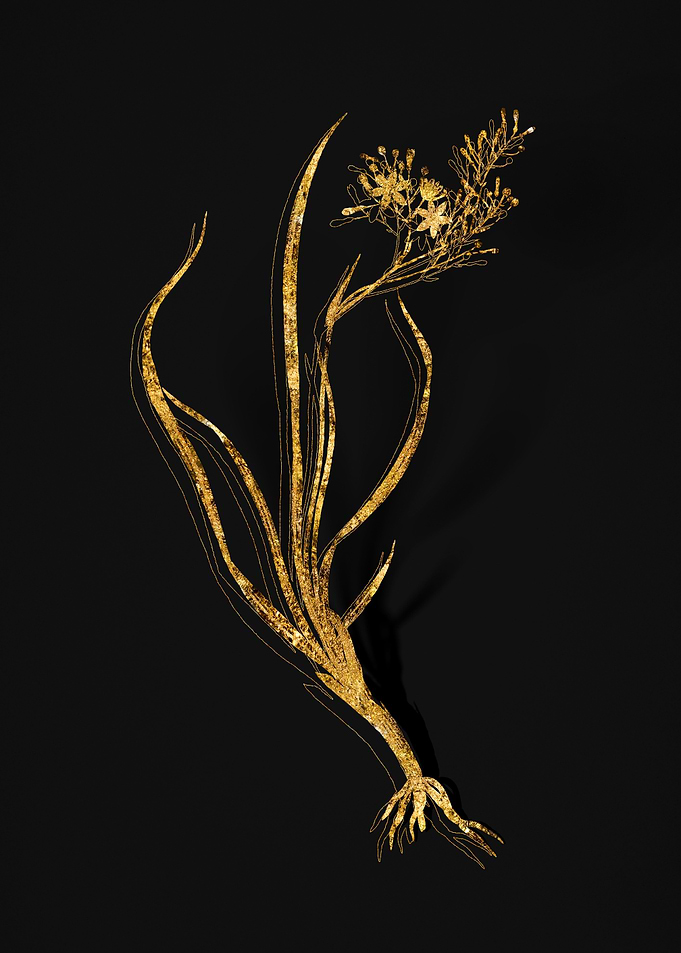 Gold Botanical on Black