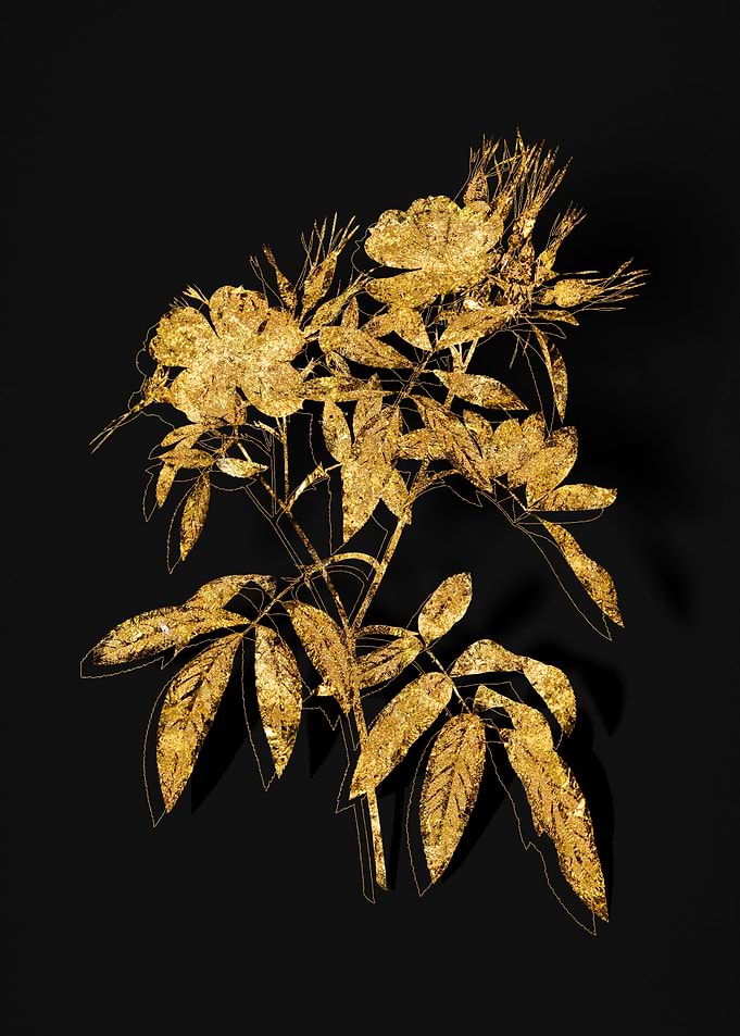 Gold Flora on Black
