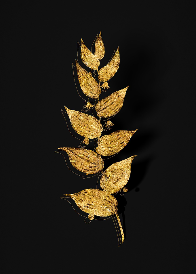 Gold Botanical on Black