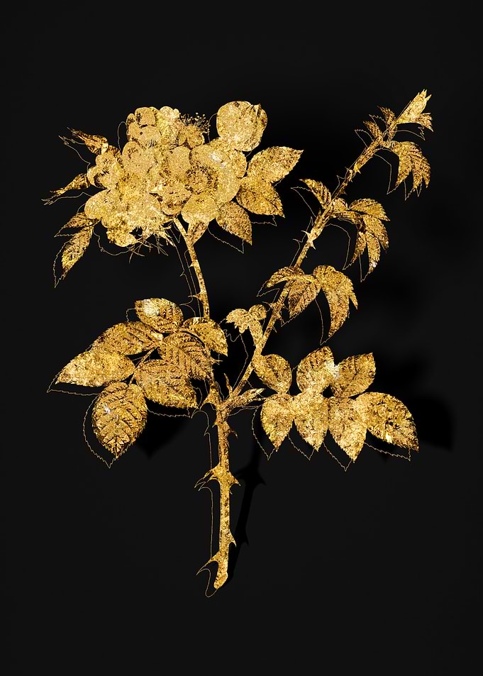 Gold Flower on Black
