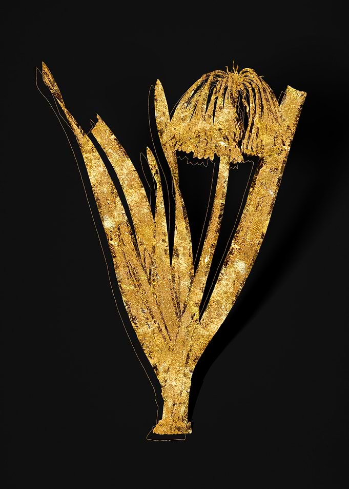 Gold Flora on Black