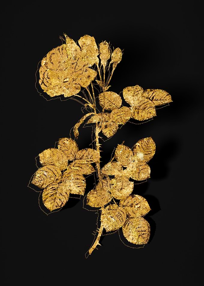 Gold Flora on Black