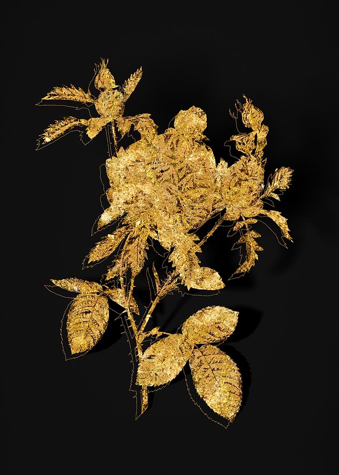 Gold Botanical on Black