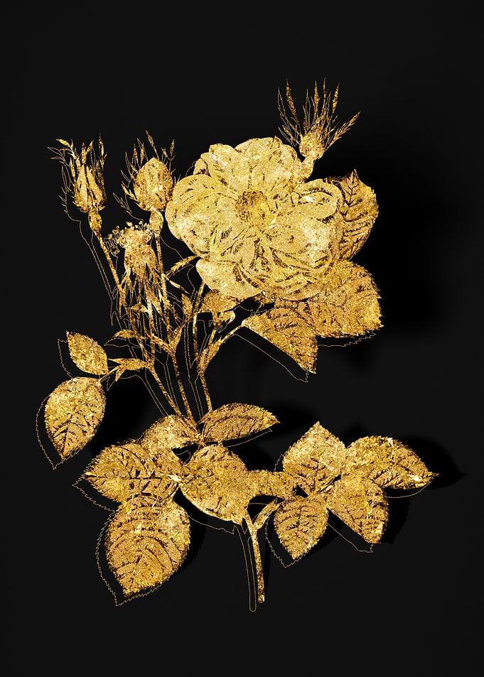 Gold Flower on Black