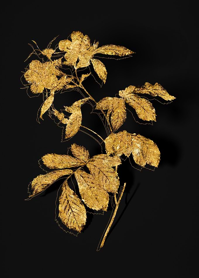 Gold Botanical on Black