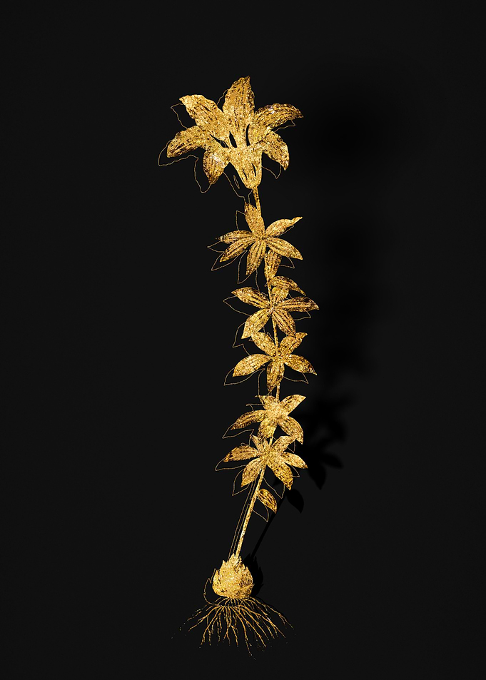 Gold Flower on Black