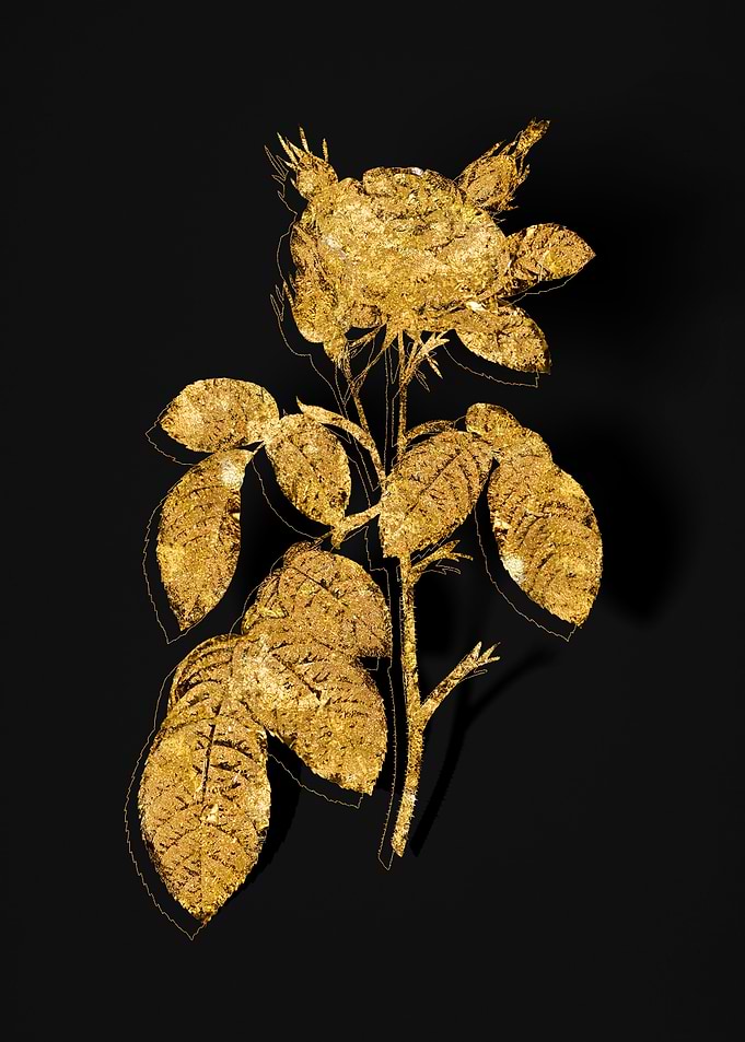 Gold Flora on Black