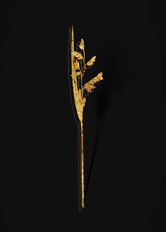 Gold Flora on Black