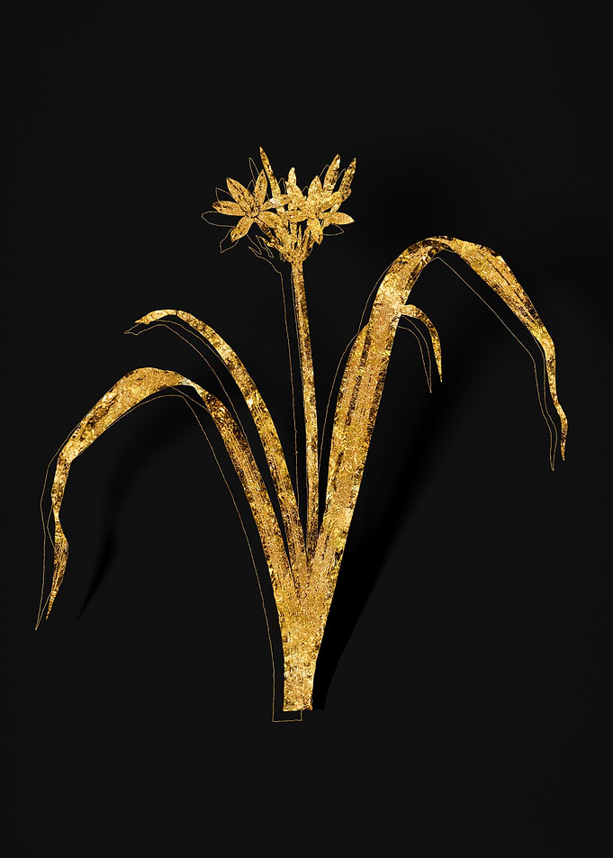 Gold Flower on Black