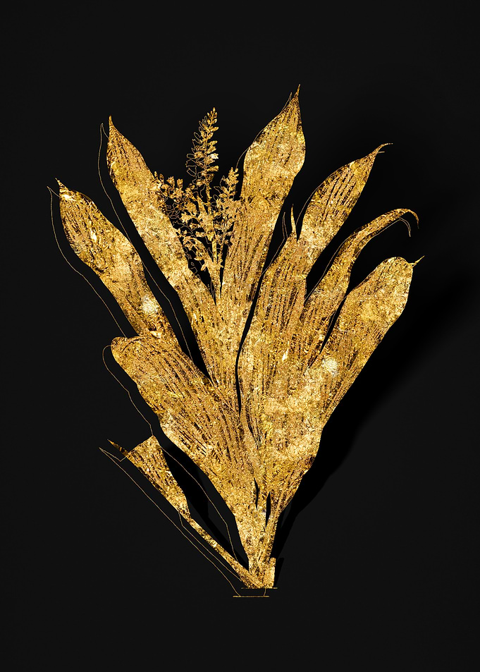 Gold Botanical on Black