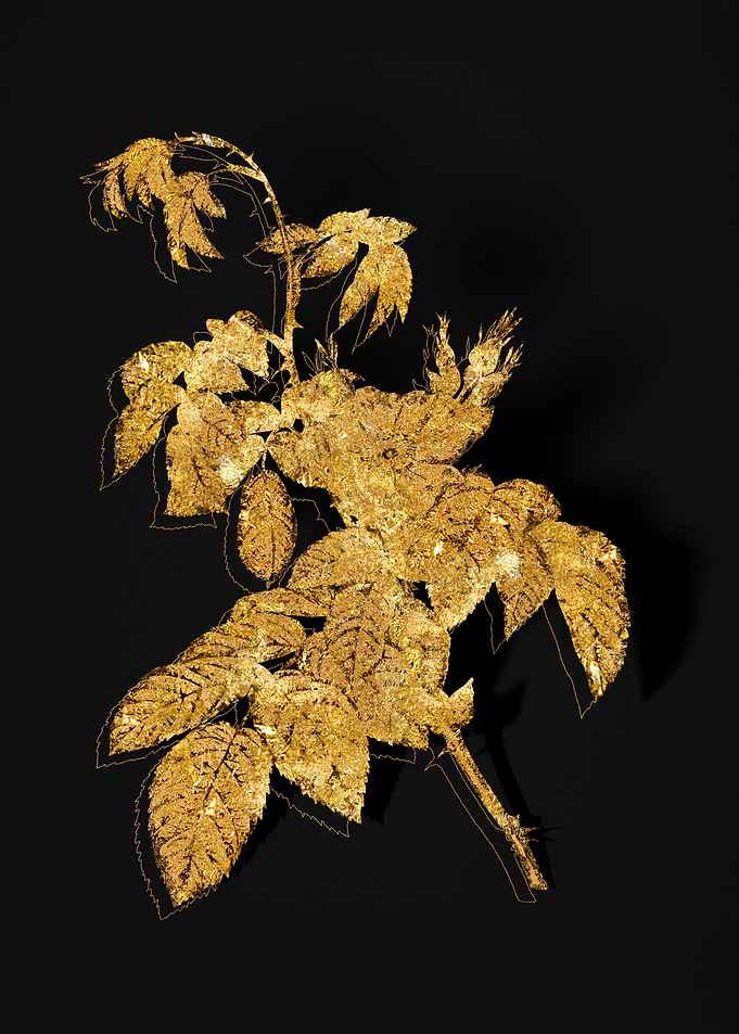 Gold Flora on Black