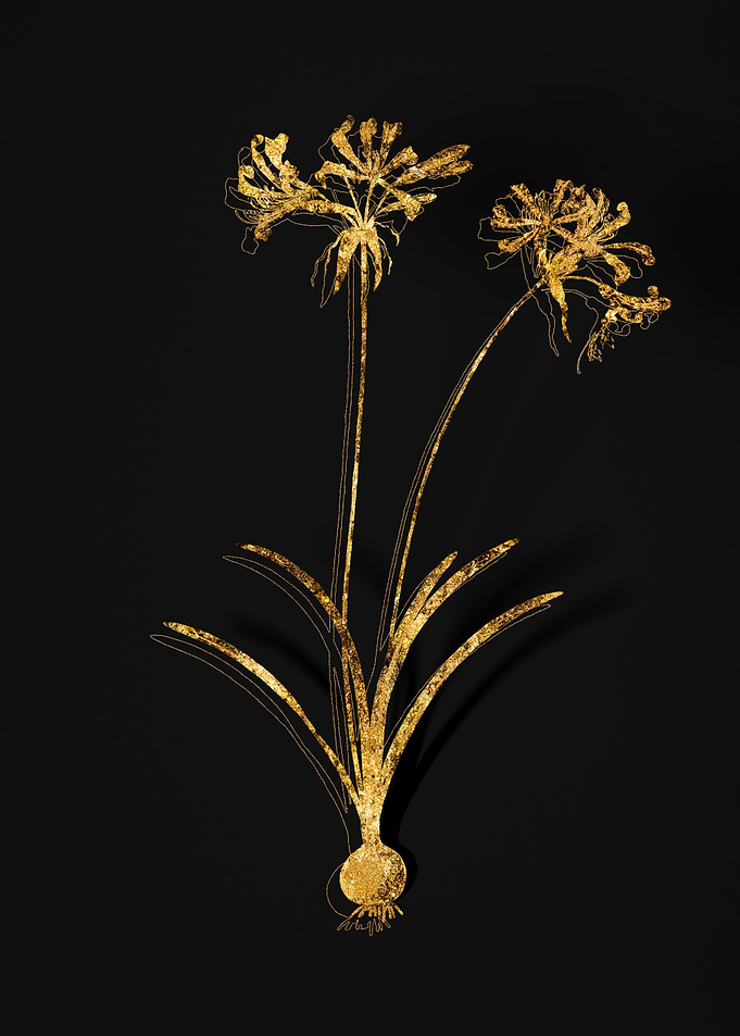 Gold Botanical on Black