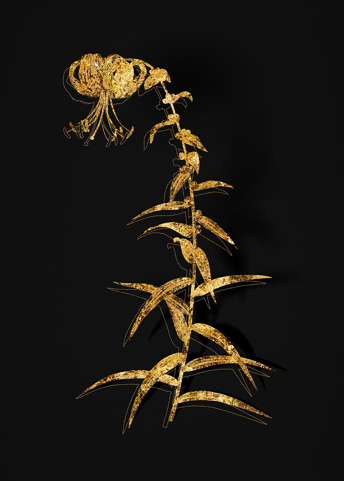 Gold Botanical on Black