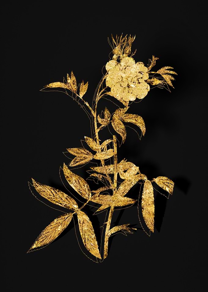 Gold Flower on Black