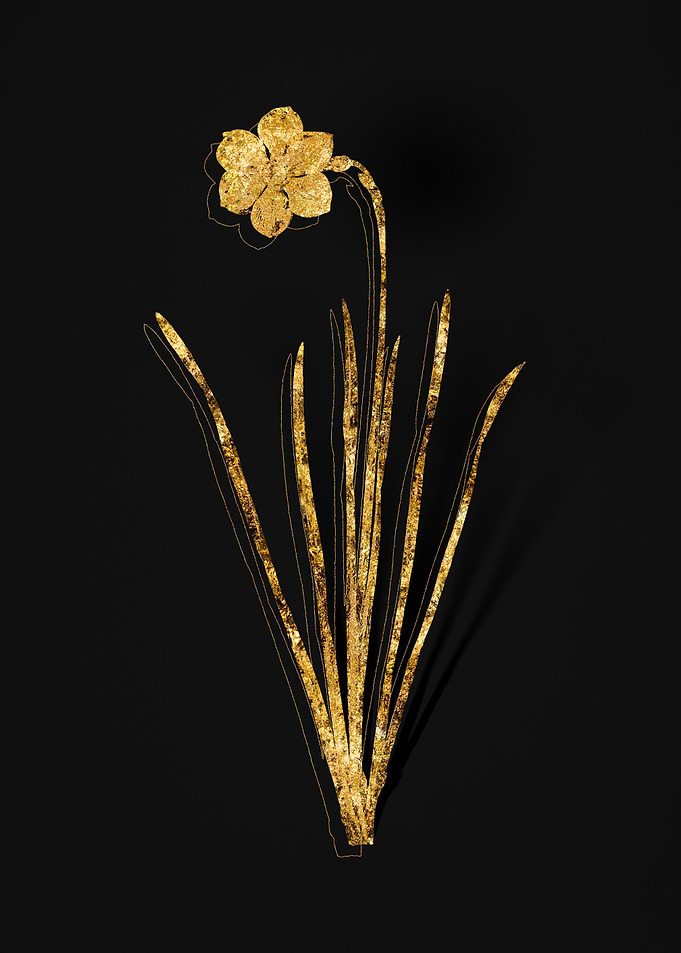 Gold Botanical on Black