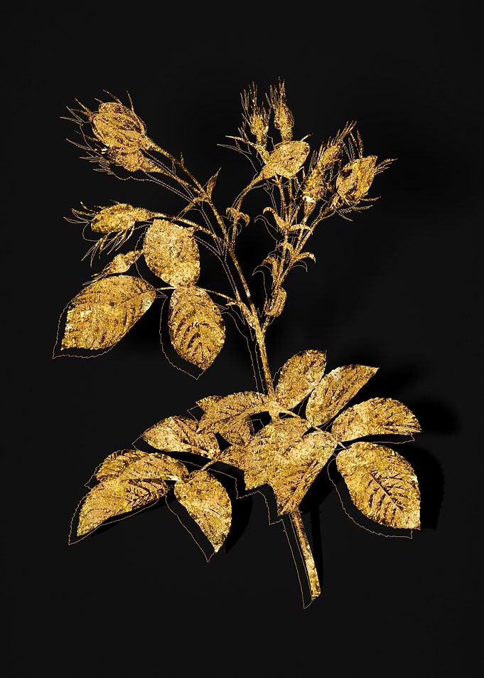 Gold Floral on Black