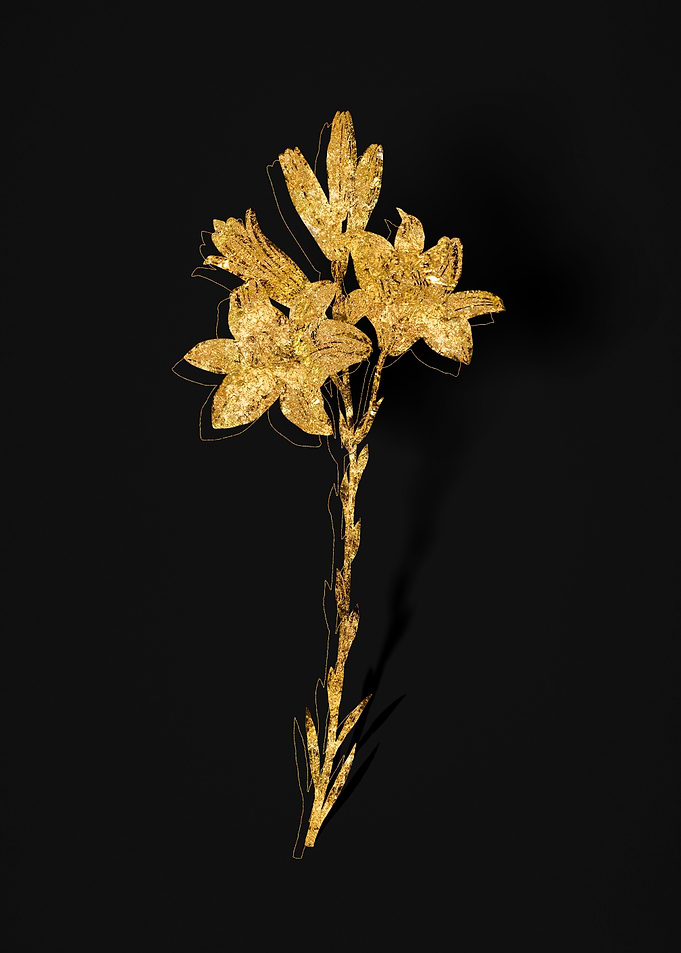 Gold Flora on Black