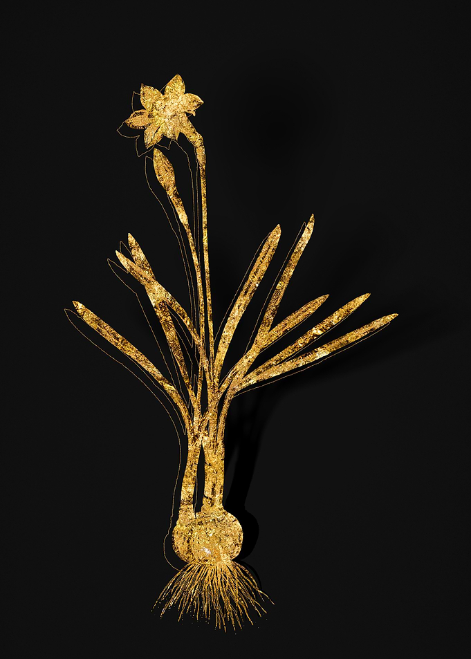 Gold Botanical on Black
