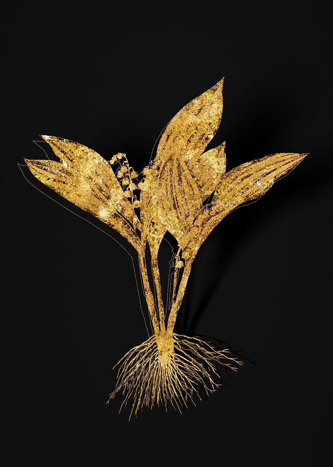 Gold Flora on Black