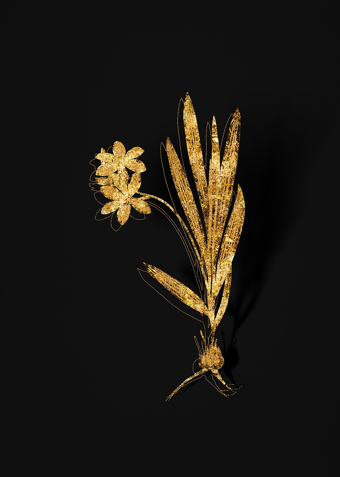 Gold Floral on Black