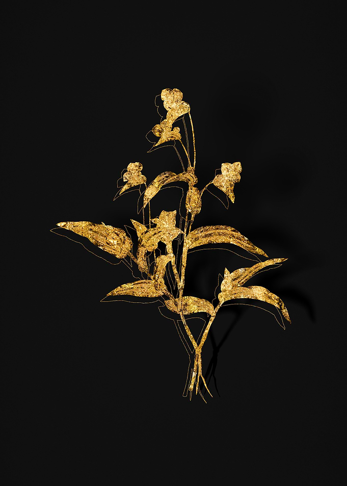 Gold Flower on Black