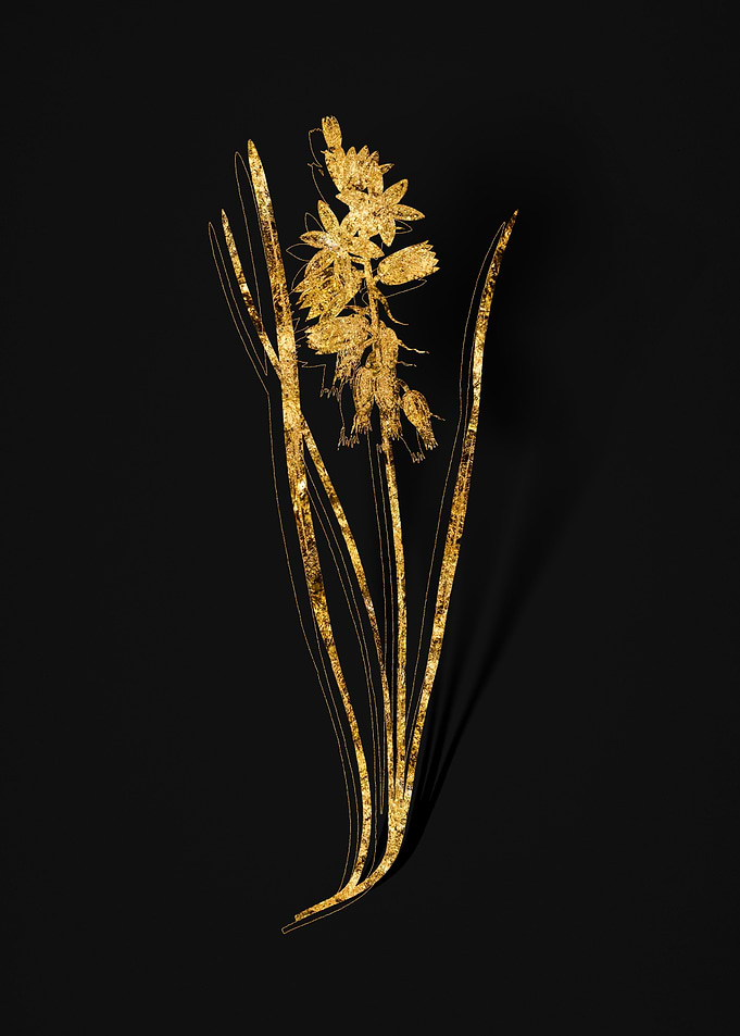 Gold Floral on Black